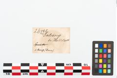 Etikett zu Eisenring (NHMW-PRAE-026798)